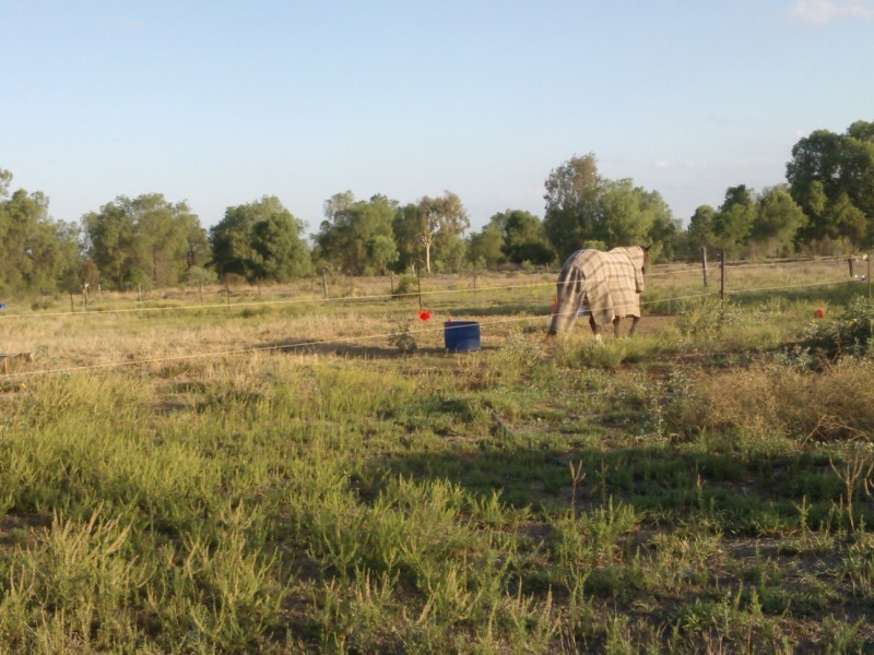 Lot 1 Opal Street, Emerald QLD 4720