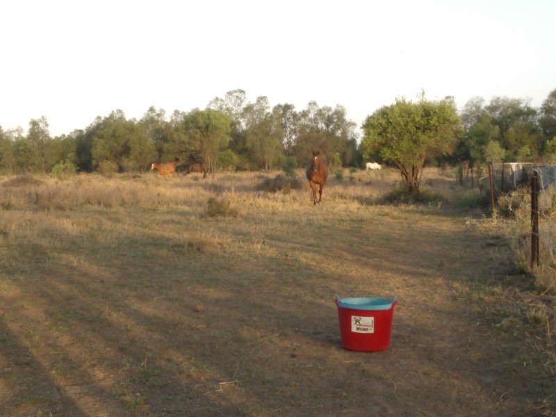 Lot 1 Opal Street, Emerald QLD 4720