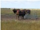 793 Wyuna Road, Emerald QLD 4720