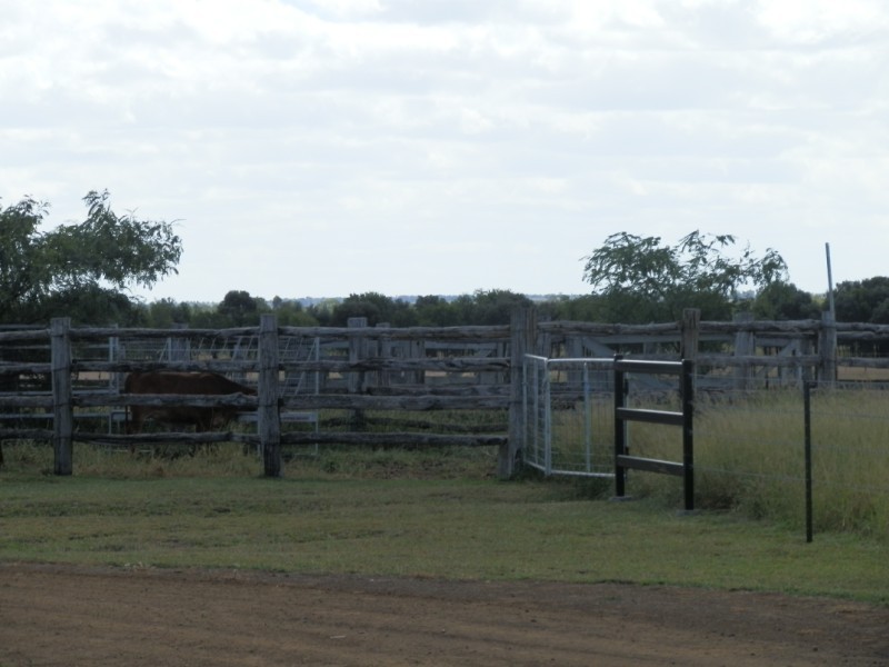 793 Wyuna Road, Emerald QLD 4720