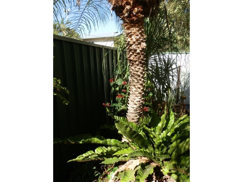 1/52 Borilla Street, Emerald QLD 4720