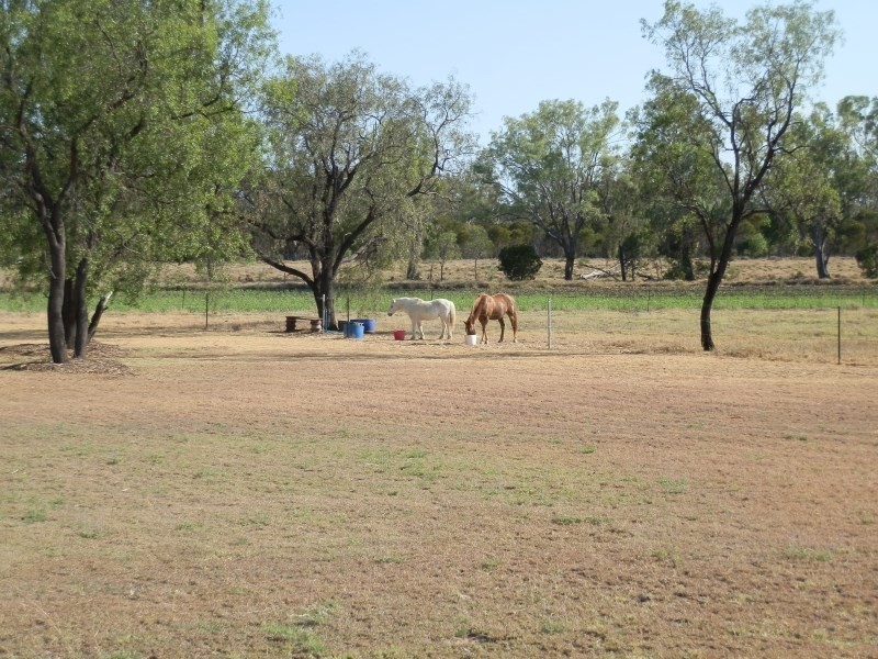 1645 Lilyvale Road, Emerald QLD 4720
