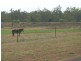 1645 Lilyvale Road, Emerald QLD 4720