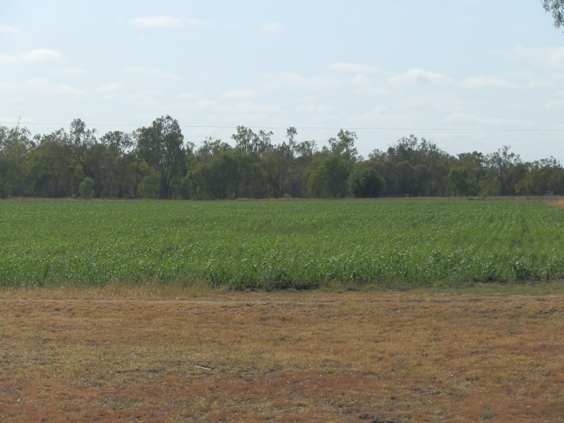 1645 Lilyvale Road, Emerald QLD 4720