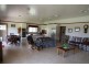 7 Mares Tail Lane, Springsure QLD 4722