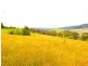114-116 Magpie Hollow Rd, South Bowenfels NSW 2790