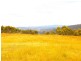 114-116 Magpie Hollow Rd, South Bowenfels NSW 2790