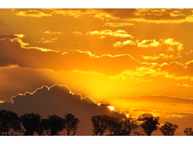 2974 Taylors Flat Road, Reids Flat NSW 2586