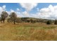2974 Taylors Flat Road, Reids Flat NSW 2586