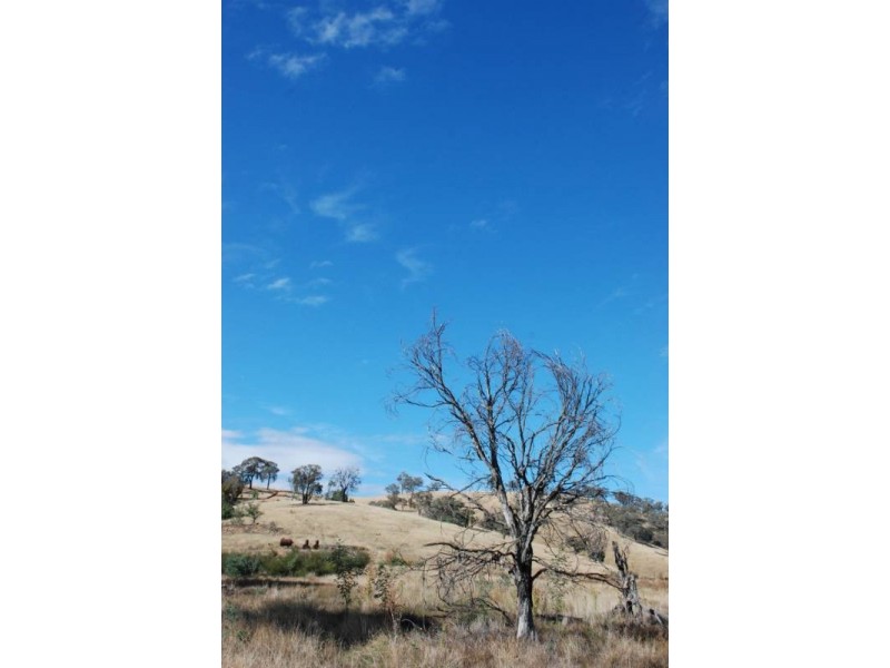 2974 Taylors Flat Road, Reids Flat NSW 2586