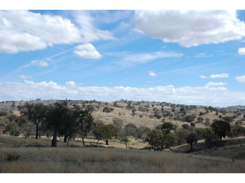 2974 Taylors Flat Road, Reids Flat NSW 2586