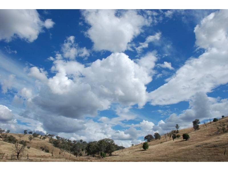 2974 Taylors Flat Road, Reids Flat NSW 2586