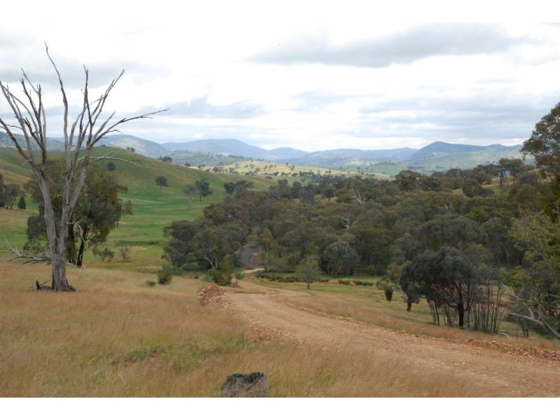 2974 Taylors Flat Road, Reids Flat NSW 2586