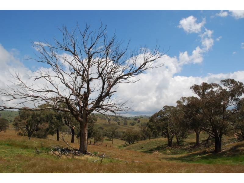 2974 Taylors Flat Road, Reids Flat NSW 2586