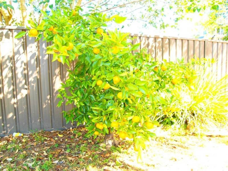 62 Second Street, Warragamba NSW 2752