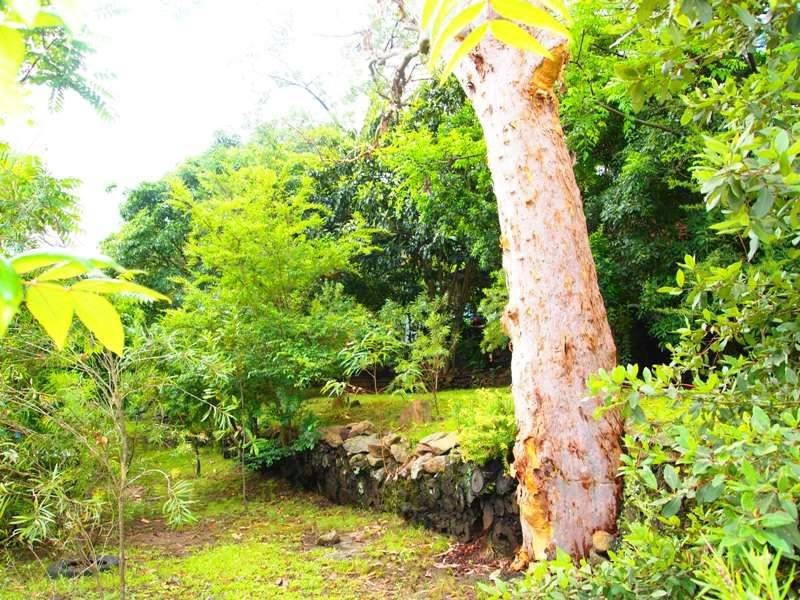 1 Thirteenth Street, Warragamba NSW 2752