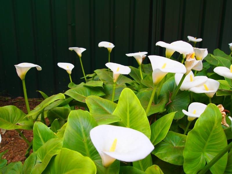 94 Silverdale Road, Silverdale NSW 2752