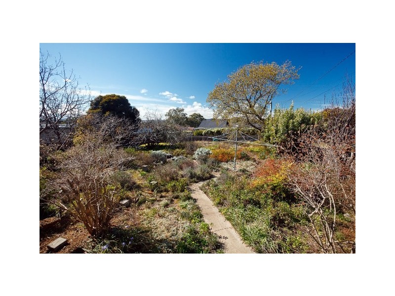 61 Shumack Street, Weetangera ACT 2614