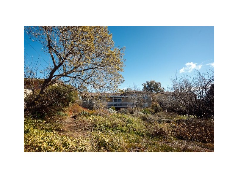 61 Shumack Street, Weetangera ACT 2614