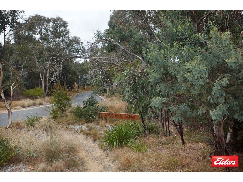 57 Wybalena Grove, Cook ACT 2614