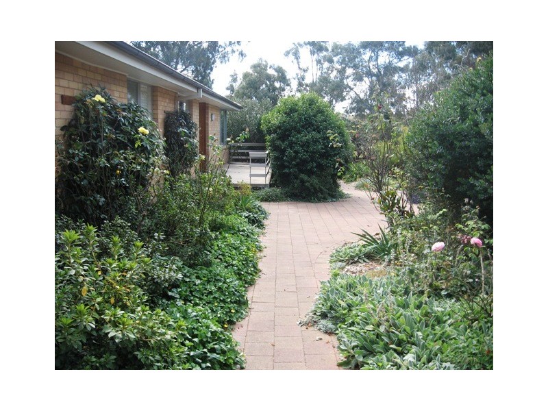 38 Mackellar Crescent, Cook ACT 2614