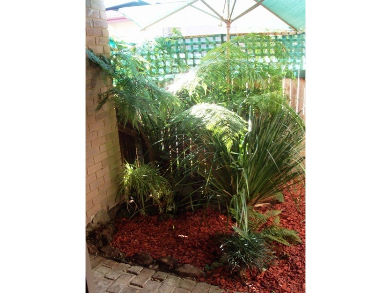 15 English Court, Swinger Hill ACT 2606