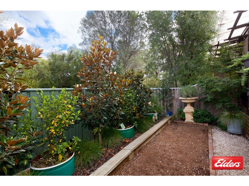 78 Dexter Street, Cook ACT 2614