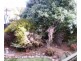 4  Wayal Place, Giralang ACT 2617