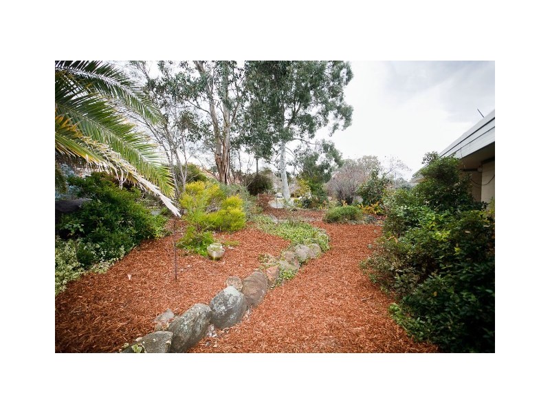 24 Liverpool Street, Macquarie ACT 2614