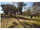 11 Jarvis Place, Macquarie ACT 2614