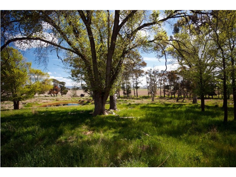 109 Springrange Road, Wallaroo NSW 2618