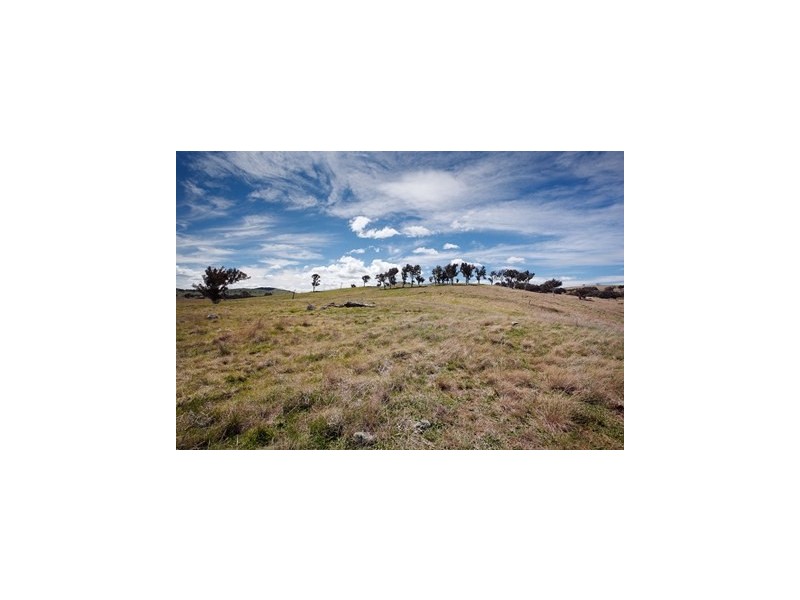 109 Springrange Road, Wallaroo NSW 2618