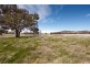 109 Springrange Road, Wallaroo NSW 2618