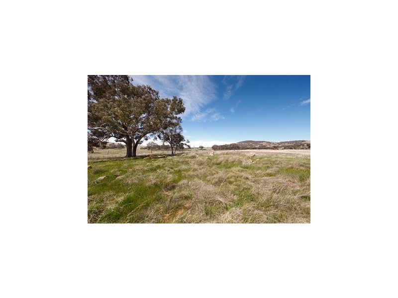 109 Springrange Road, Wallaroo NSW 2618