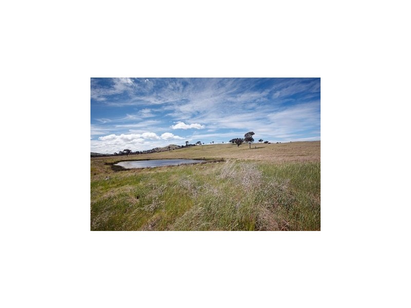 109 Springrange Road, Wallaroo NSW 2618