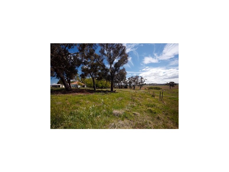 109 Springrange Road, Wallaroo NSW 2618