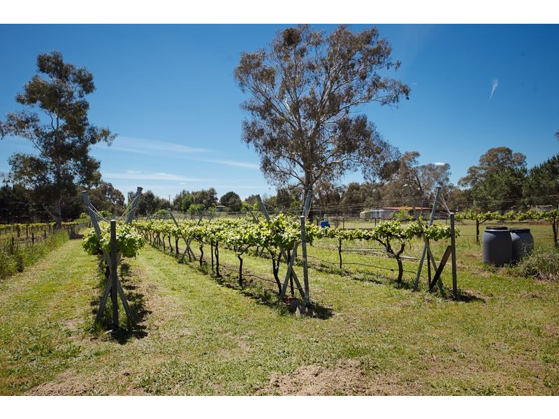 98 McIntosh Circuit, Murrumbateman NSW 2582