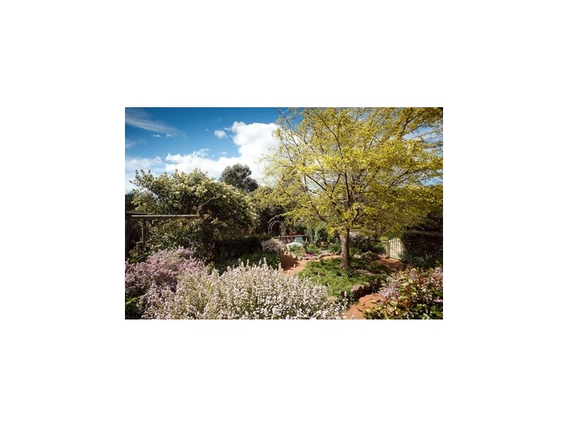 17 West Street, Murrumbateman NSW 2582