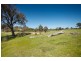 4 Woods Close, Murrumbateman NSW 2582