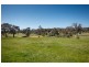 4 Woods Close, Murrumbateman NSW 2582
