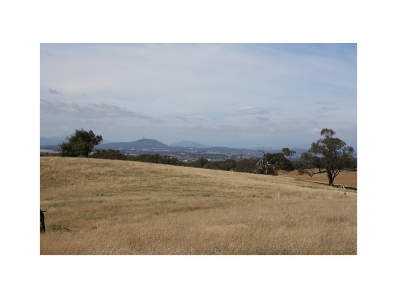 46 Carrington Road, Wallaroo NSW 2618