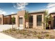 8/204 Macfarlane Burnet Avenue, Macgregor ACT 2615