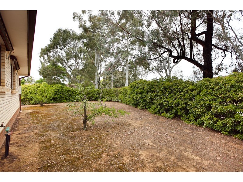 24 Daintree Crescent, Kaleen ACT 2617