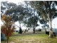31 Tom Nicholas Crescent, Forde ACT 2914