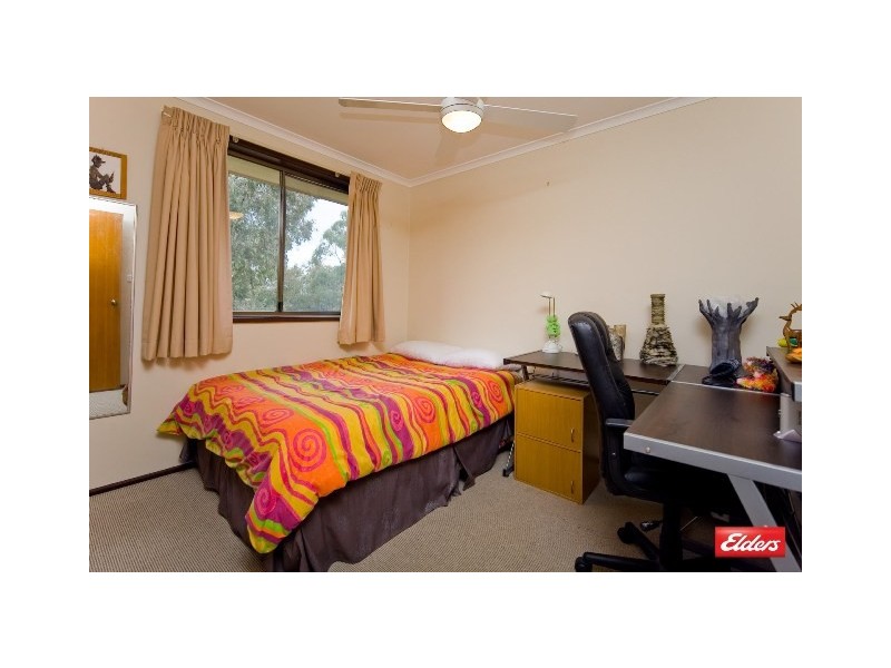 194 Dexter Street, Cook ACT 2614