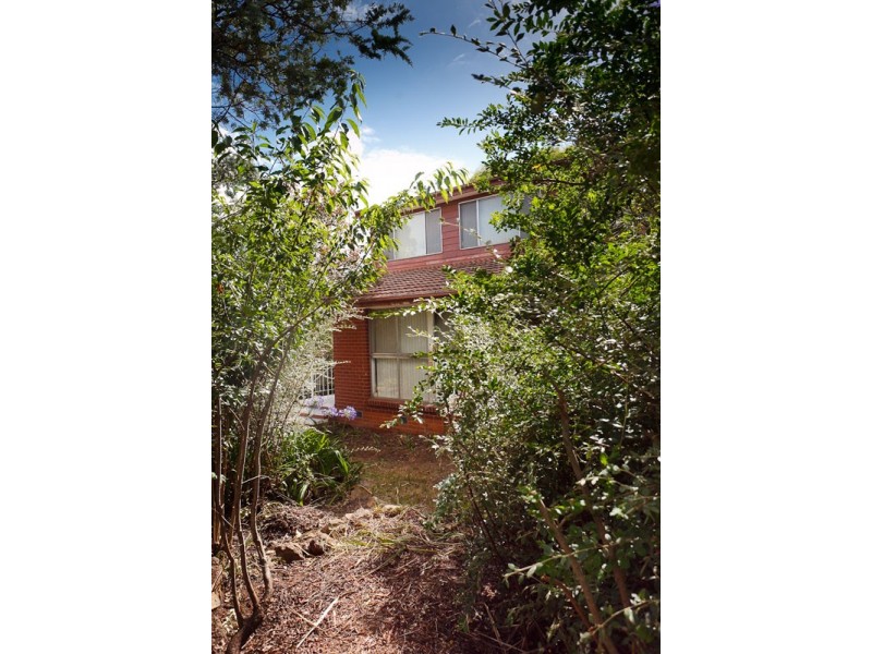 6 Molloy Crescent, Cook ACT 2614