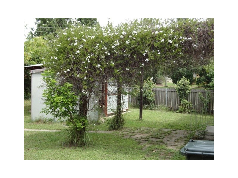 16 Burkitt Street, Page ACT 2614