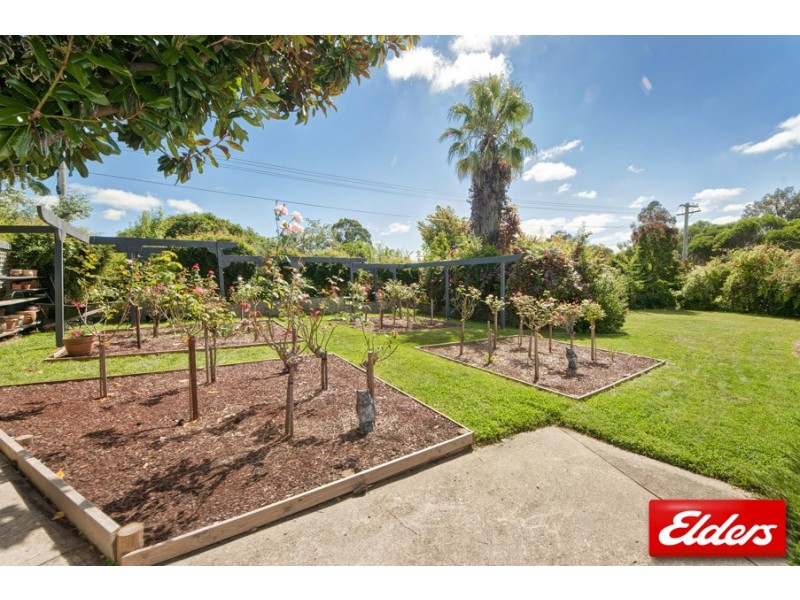 159 Springvale Drive, Weetangera ACT 2614