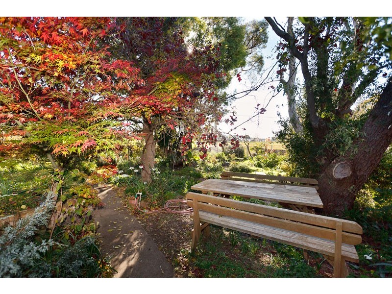 6 Lipscomb Place, Macgregor ACT 2615