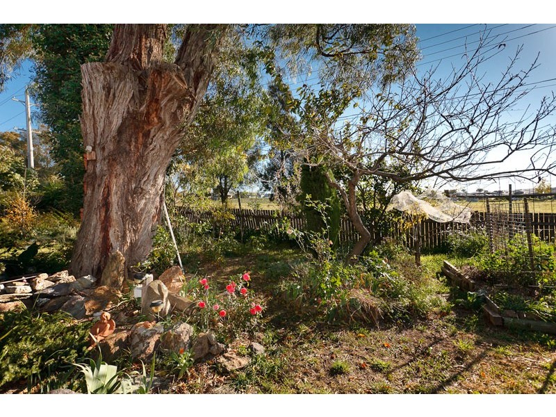 6 Lipscomb Place, Macgregor ACT 2615